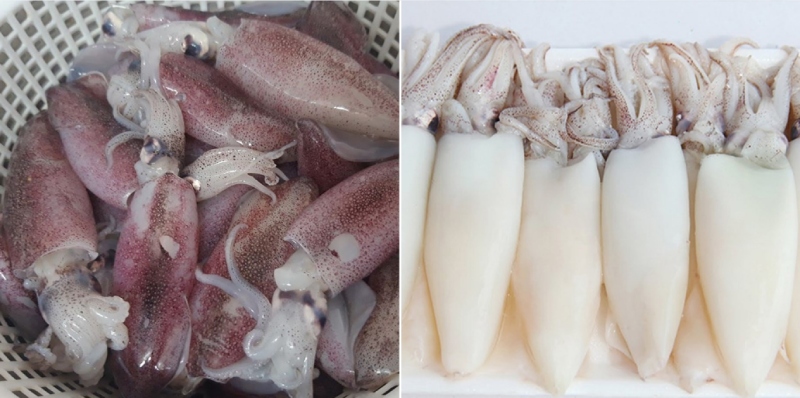 Mực ống tươi đã làm sạch