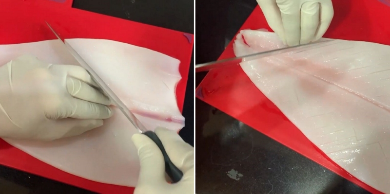 Mực rửa sạch và khứa thân