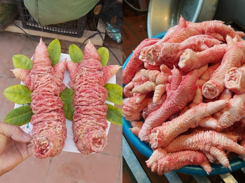 Chân gà Đông Tảo tươi