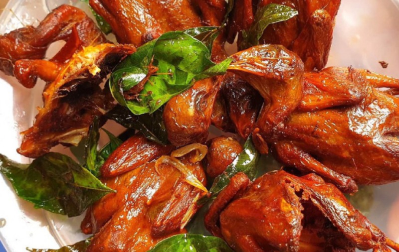 Bồ câu quay màu cánh gián đẹp mắt