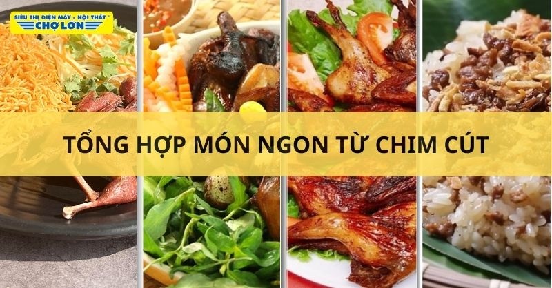 Các món ngon hấp dẫn từ chim cút