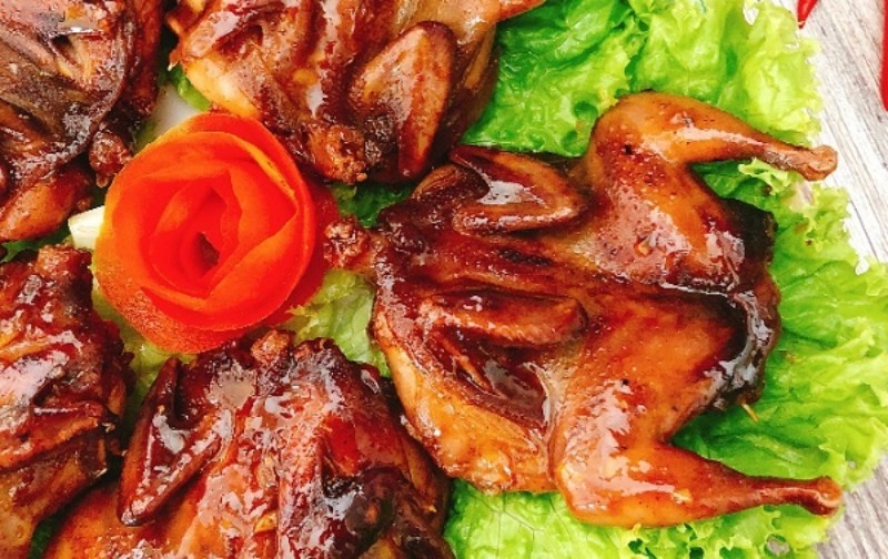 Chim cút khìa nước dừa màu vàng cánh gián