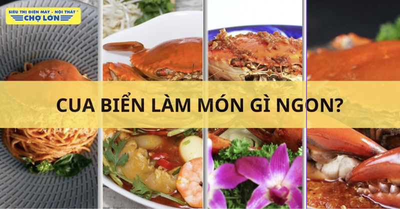 Gợi ý các món ngon từ cua biển
