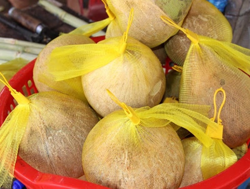 "Dừa sáp bảo quản lâu dài, giữ nguyên hương vị tươi ngon khi bảo quản đúng cách