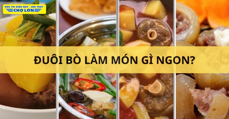 Đuôi bò chế biến thành các món ngon phù hợp cho nhiều bữa ăn