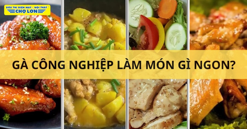 Danh sách các phương pháp chế biến gà công nghiệp thành các món ăn ngon