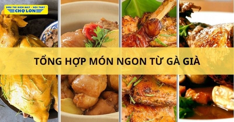 Các món ăn chế biến từ gà già