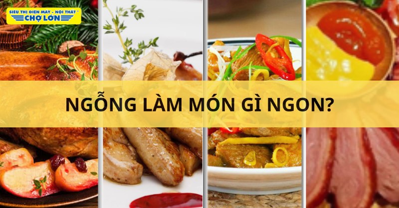 Tổng hợp món ngon làm từ ngỗng