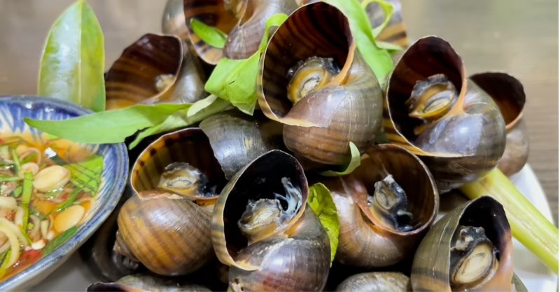 Ốc bươu hấp sả