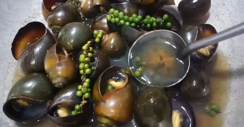 Ốc bươu hấp tiêu