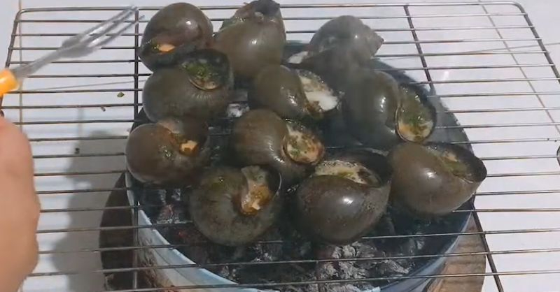 Ốc bươu nướng mỡ hành