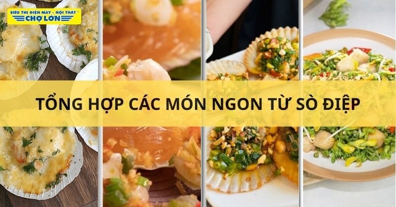 Tổng hợp các món ngon từ sò điệp