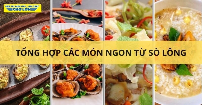 Các món ăn từ sò lông