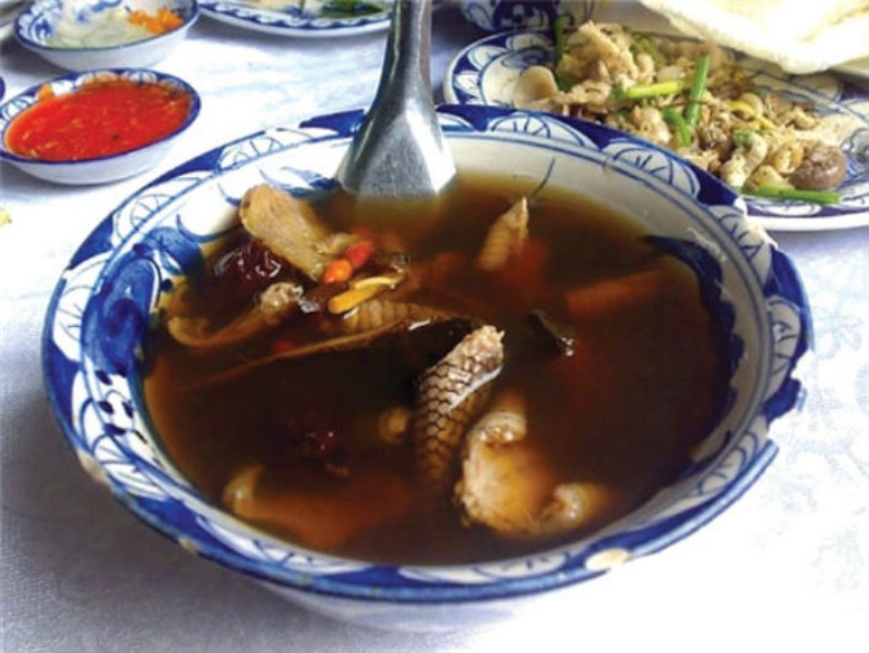 Rắn tiềm thuốc bắc