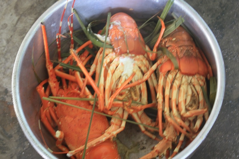 Tôm hùm hấp sả