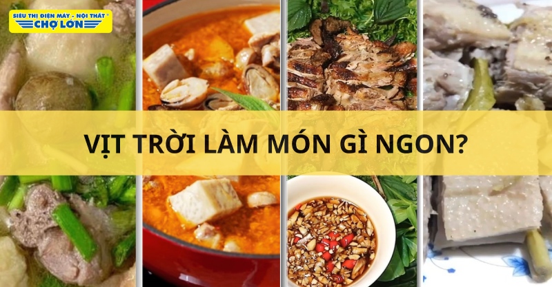 Các món ăn chế biến từ vịt trời