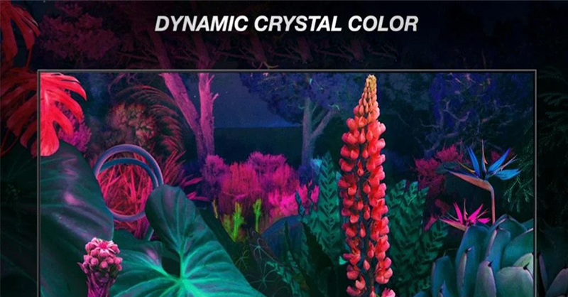 Công nghệ Dynamic Crystal Color