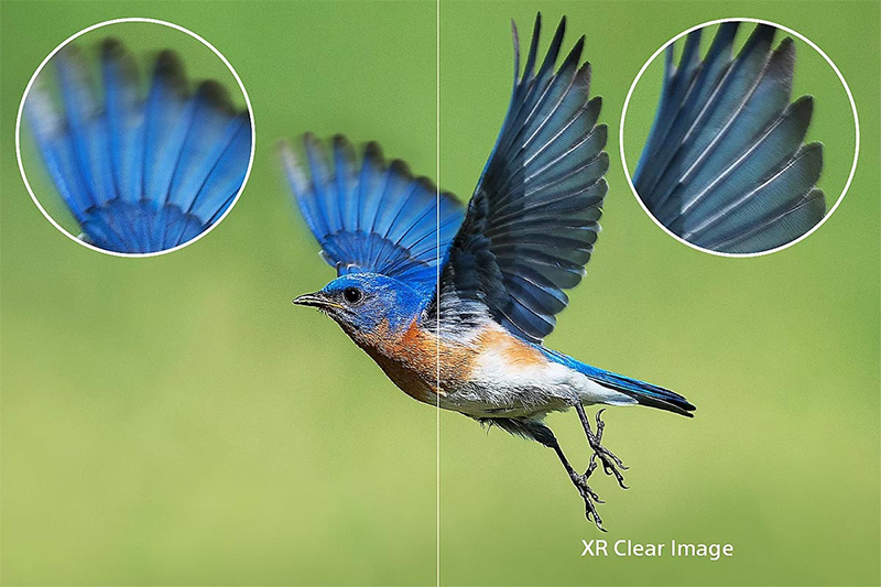 Công nghệ XR Clear Image giúp hình ảnh hiển thị sắc nét hơn
