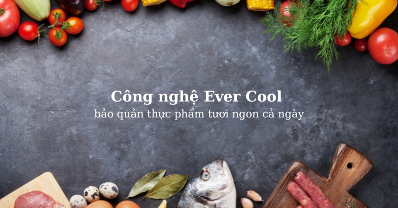 Công nghệ Ever Cool bảo quản thực phẩm tươi ngon cả ngày