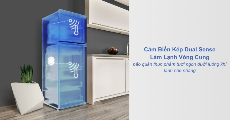 Công nghệ làm lạnh vòng cung Dual Sense giúp điều chỉnh nhiệt độ chính xác