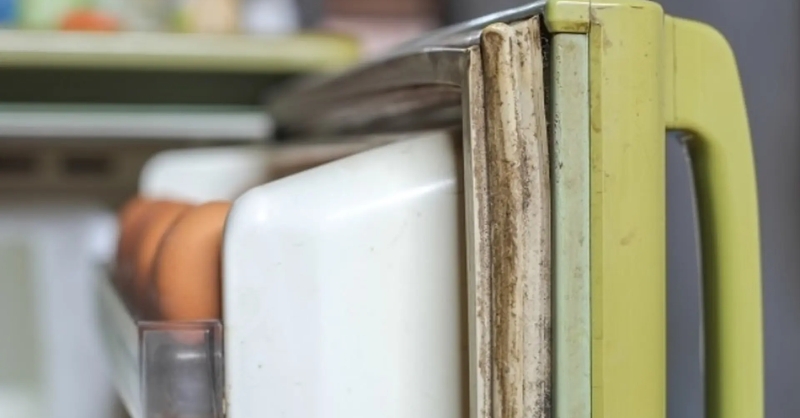 Gioăng cao su bị hở hoặc tủ không đóng kín