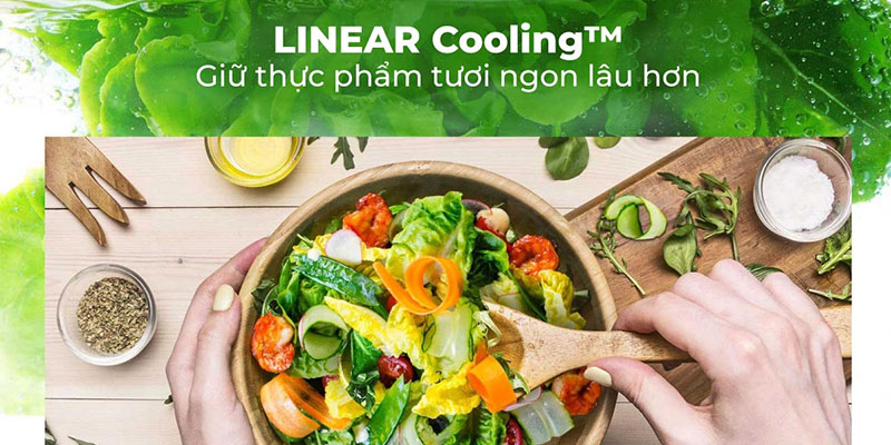 LINEAR Cooling™ - Giữ đồ ăn tươi ngon lâu hơn