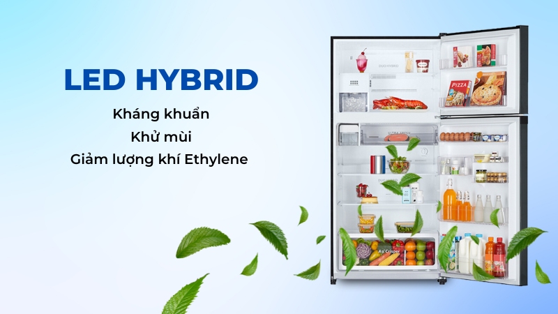 Công nghệ LED Hybrid mang đến nhiều lợi ích trong việc bảo quản thực phẩm