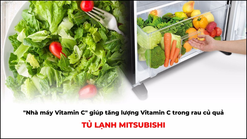 Nhà máy Vitamin C trên tủ lạnh Mitsubishi