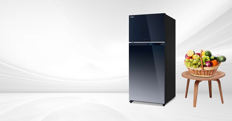 Tủ lạnh 2 cánh Toshiba