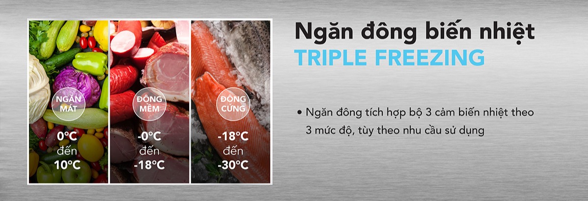 Ngăn đông biến nhiệt Triple Freezing