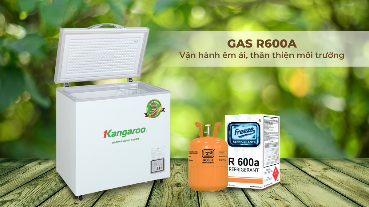 Gas R600a giúp thiết bị tiết kiệm điện năng, thân thiện môi trường