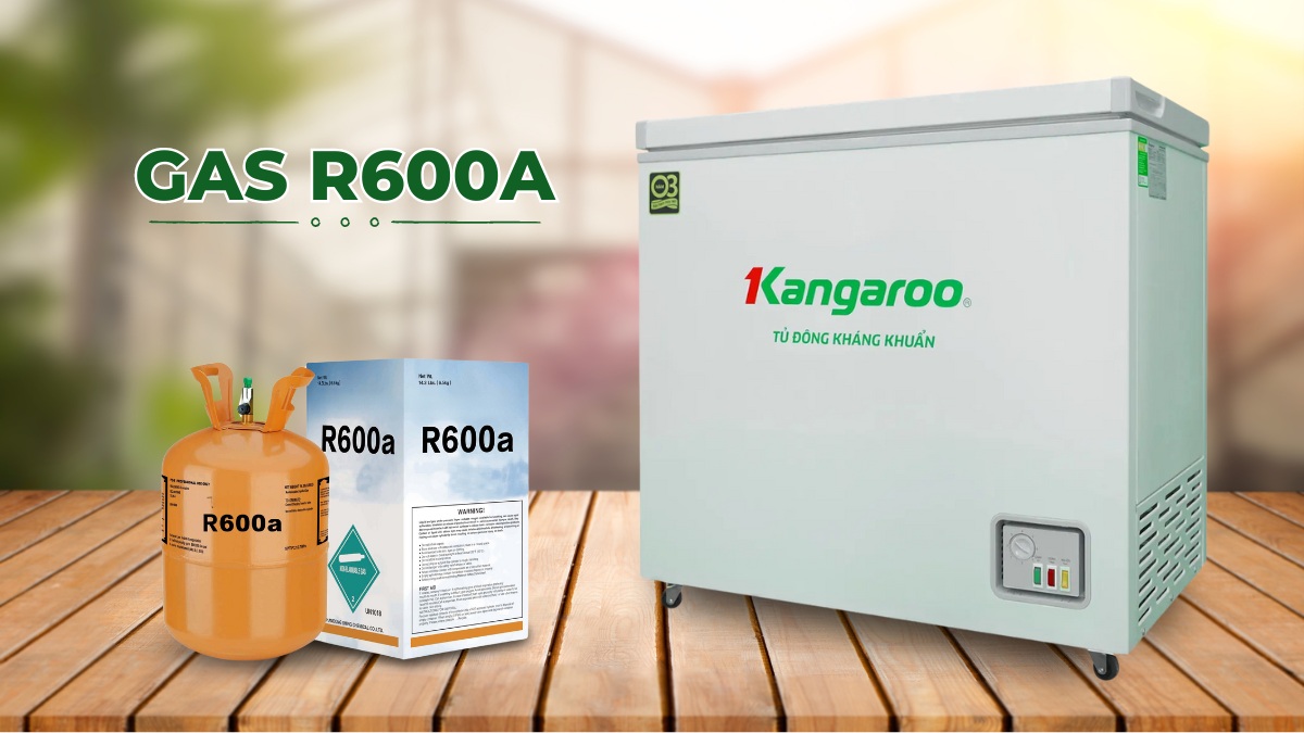 Gas R600a thân thiện môi trường, mang lại hiệu suất làm lạnh cao