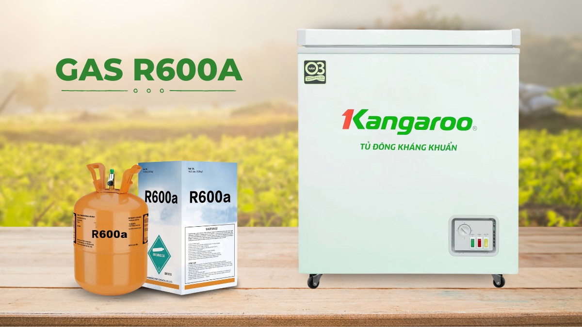 Gas R600a giúp tủ cấp đông nhanh, hiệu quả, hạn chế tác động đến môi trường