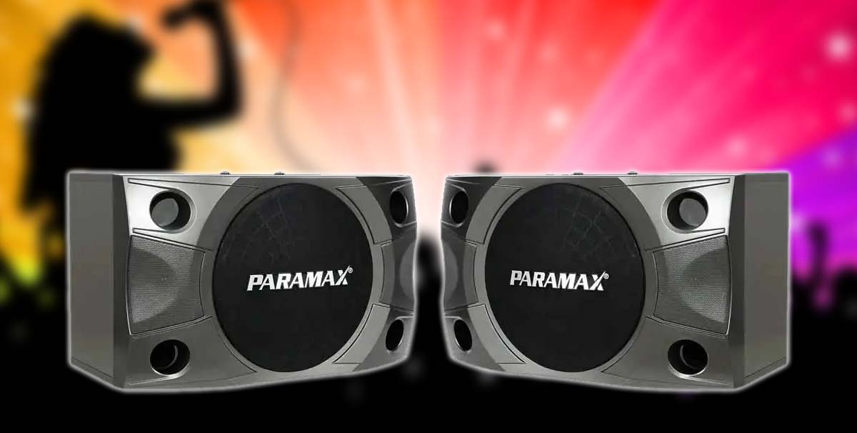 Khả năng trình diễn âm thanh của loa Paramax P-850 vô cùng ấn tượng