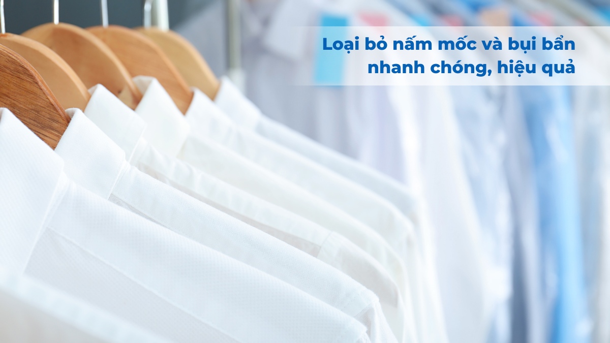 Nhiều loại nấm mốc, bụi bẩn trên quần áo được loại bỏ hiệu quả