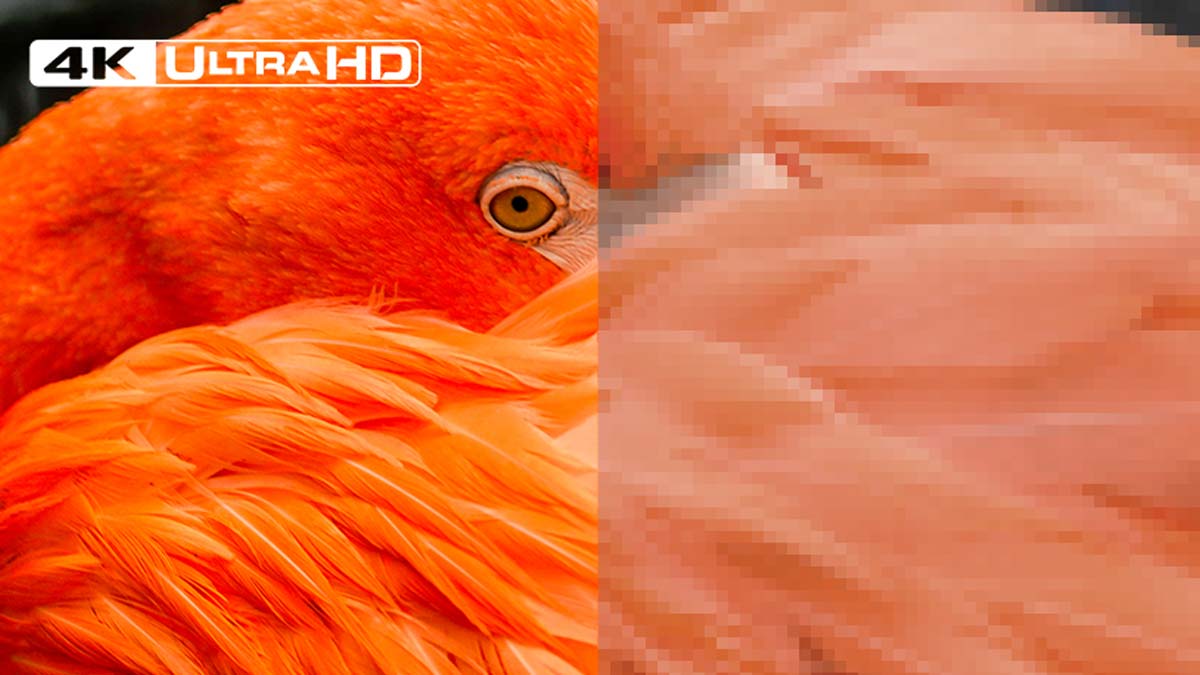 Độ phân giải Ultra HD 4K mang đến hình ảnh hiển thị sắc nét vượt trội