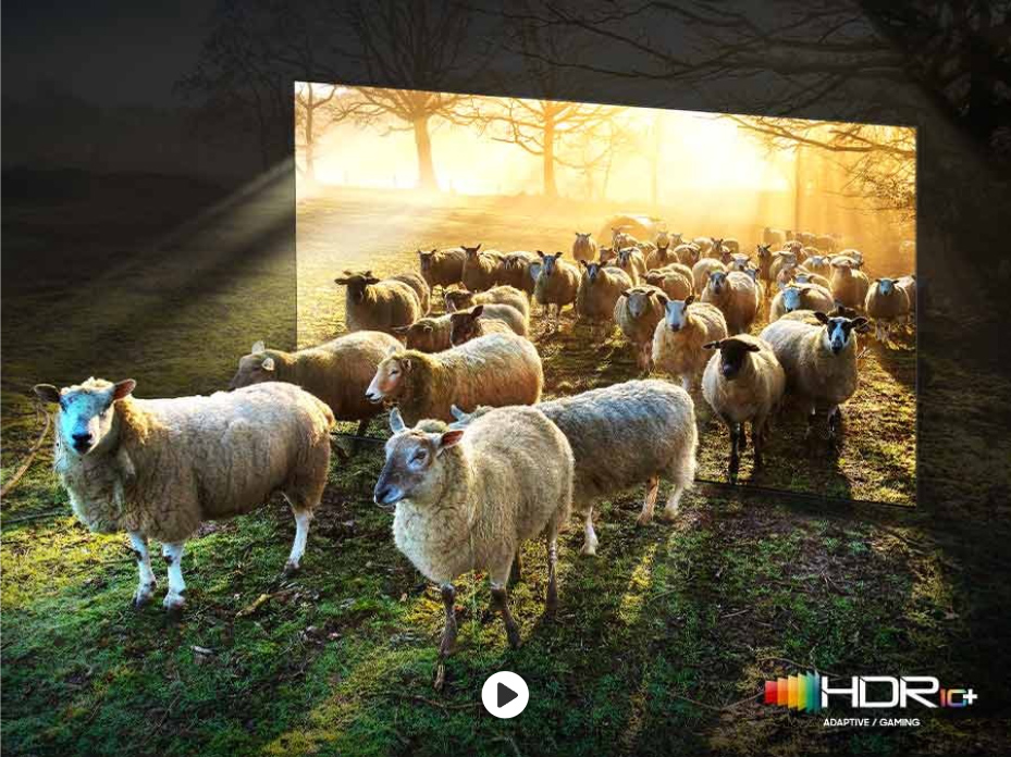 Neo Quantum 8K HDR Pro mang đến cho bạn trải nghiệm thị giác tuyệt đỉnh
