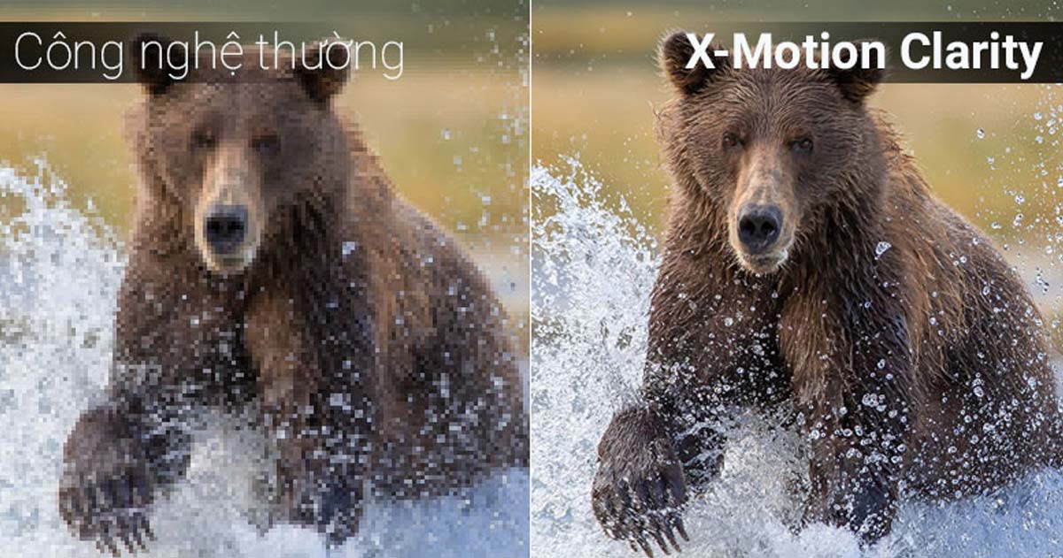 Công nghệ X-Motion Clarity mang đến khung hình mượt mà, sắc nét hơn