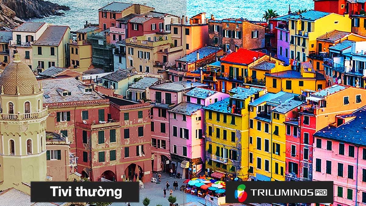 Công nghệ Triluminos Pro giúp hình ảnh rực rỡ sắc màu với độ chính xác cao