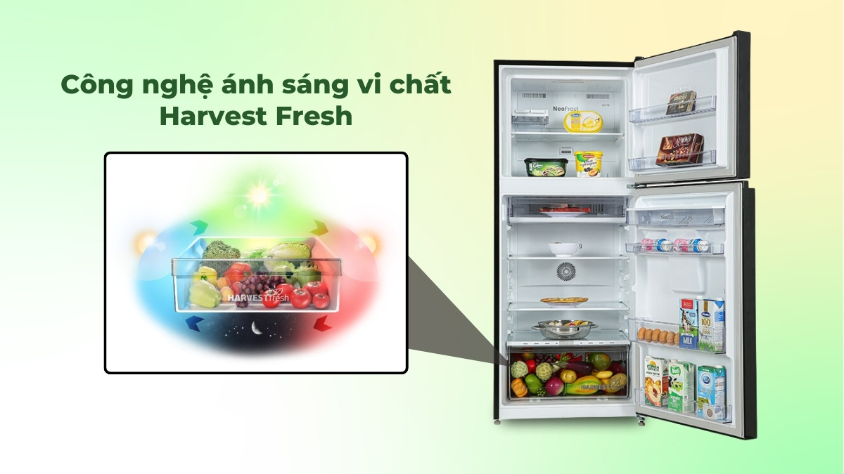 Công nghệ ánh sáng vi chất 3 màu Harvest Fresh bảo toàn dưỡng chất cho thực phẩm