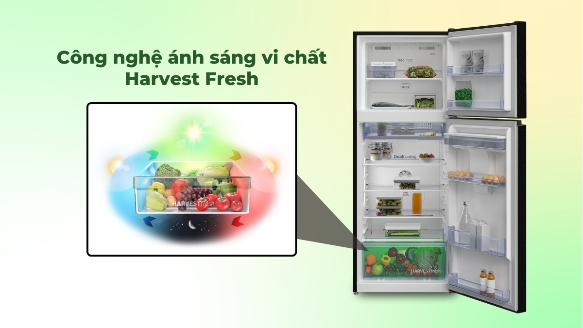 Công nghệ ánh sáng vi chất HarvestFresh giữ trọn dưỡng chất trong thực phẩm