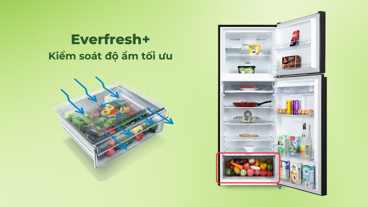 Công nghệ Everfresh+ kiểm soát độ ẩm tối ưu cho rau củ tươi ngon dài lâu