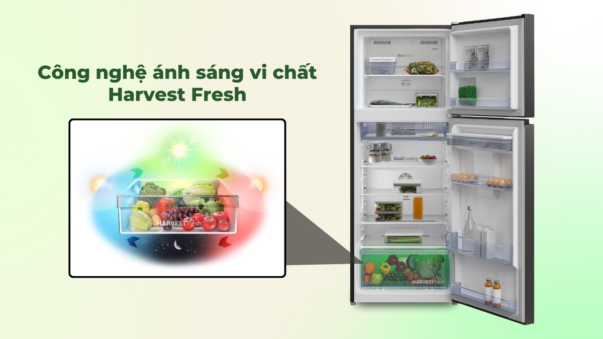 Công nghệ ánh sáng vi chất HarvestFresh cho rau củ quả luôn tươi ngon, trọn dưỡng chất