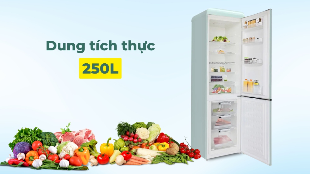 Tủ sở hữu dung tích thực 250L