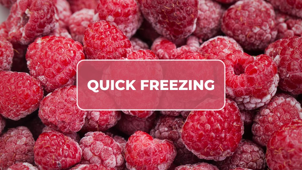 Ngăn Quick Freezing cấp đông nhanh chóng