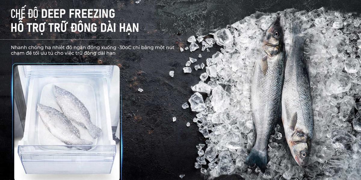 Cấp đông sâu Deep Freezing