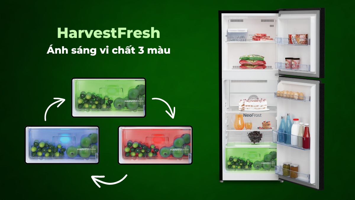 Công nghệ HarvestFresh bảo quản rau củ quả luôn tươi ngon, trọn dưỡng chất