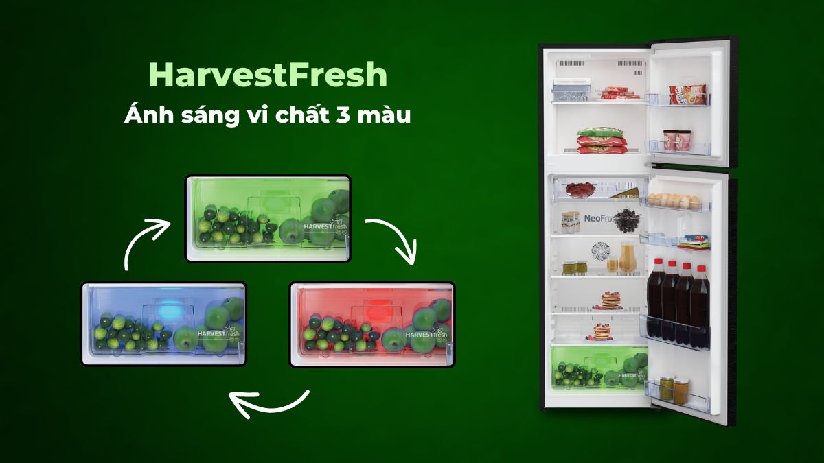 Công nghệ HarvestFresh bảo quản rau củ quả tươi ngon, trọn dưỡng chất