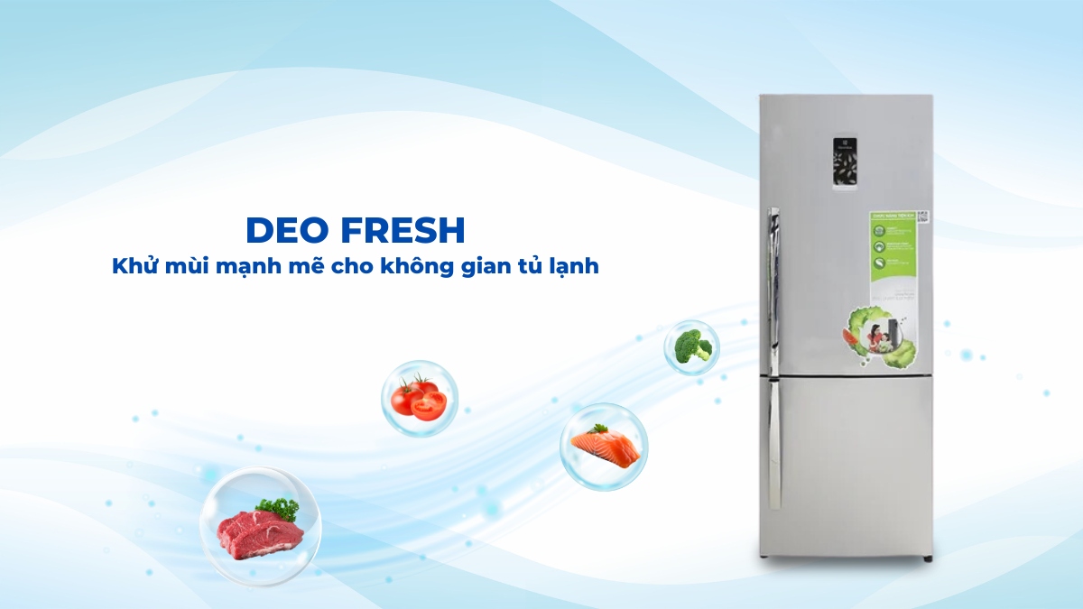 Công nghệ Deo Fresh giúp hạn chế mùi hôi phát sinh bên trong tủ