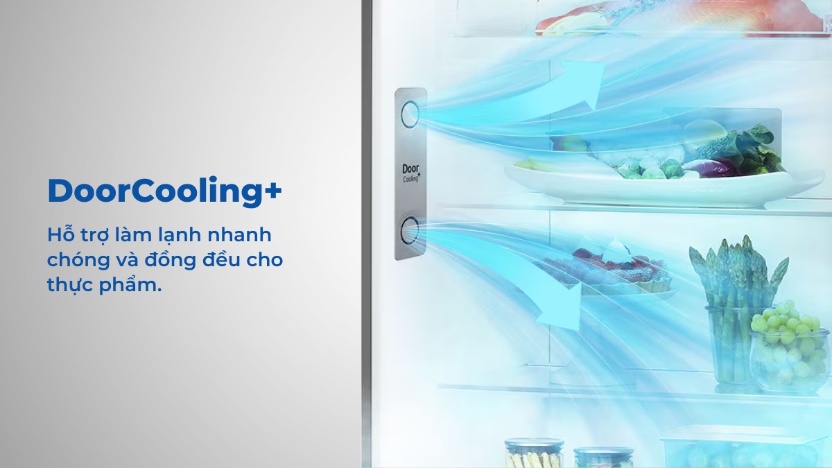 Công nghệ DoorCooling+ lan tỏa hơi lạnh đồng đều từ vị trí cửa rủ